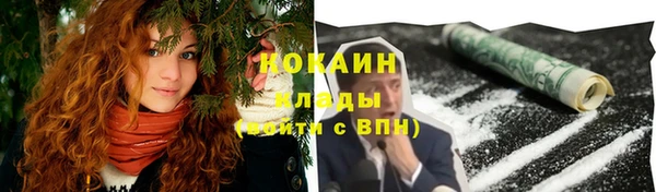 стафф Ладушкин