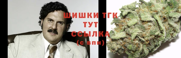 бошки Лагань