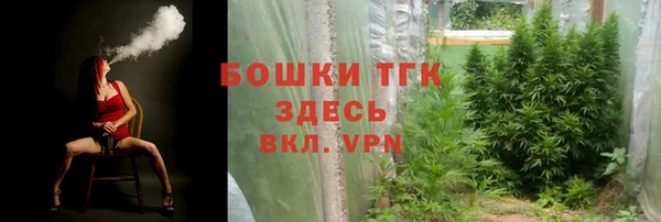 бошки Лагань