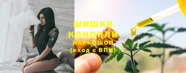бошки Лагань