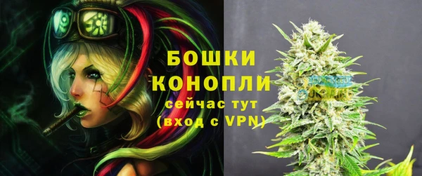 стафф Ладушкин
