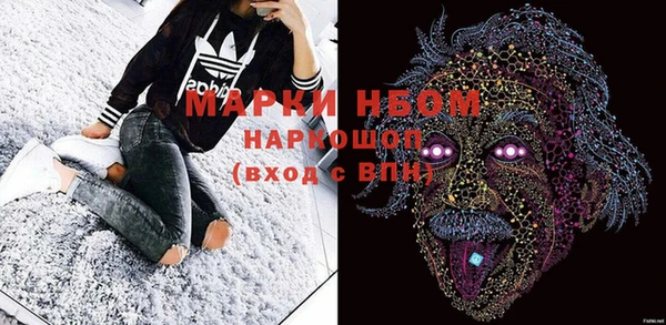 стафф Ладушкин